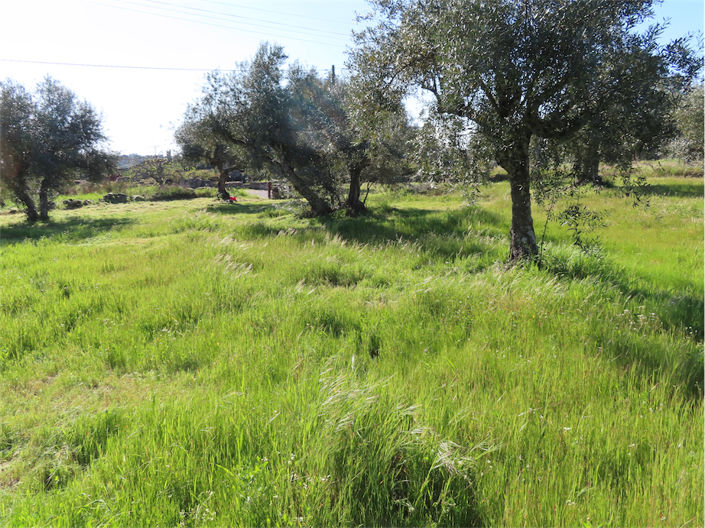 Image No.28-Propriété à vendre à Castelo Branco