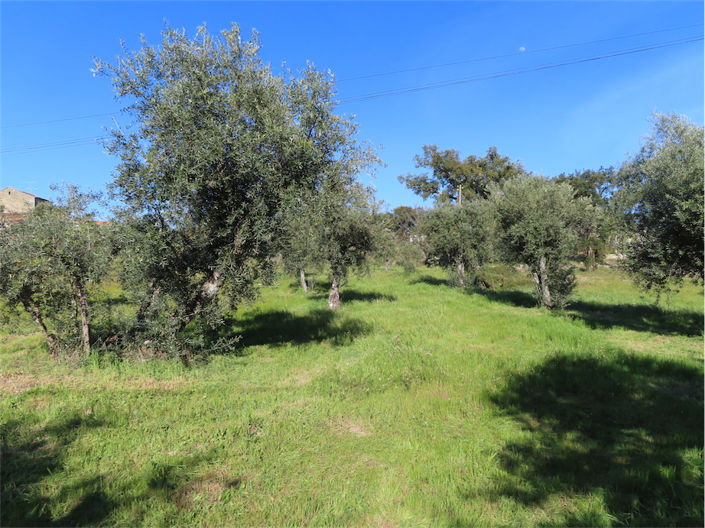 Image No.30-Propriété à vendre à Castelo Branco