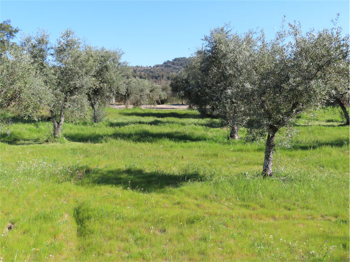 Image No.4-Propriété à vendre à Castelo Branco