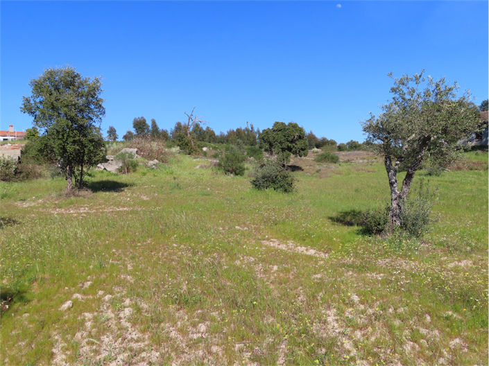 Image No.5-Propriété à vendre à Castelo Branco