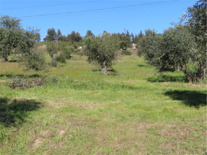 Image No.7-Propriété à vendre à Castelo Branco