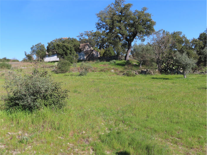 Image No.10-Propriété à vendre à Castelo Branco