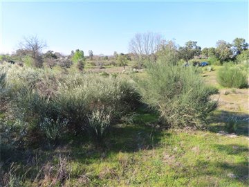 1 - Castelo Branco, Property