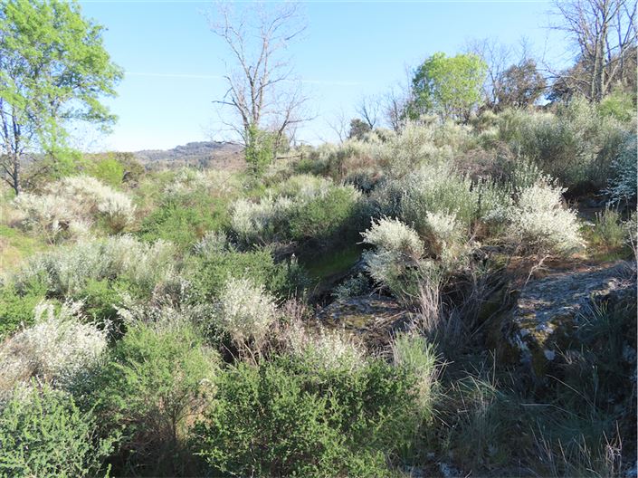 Image No.11-Property for sale