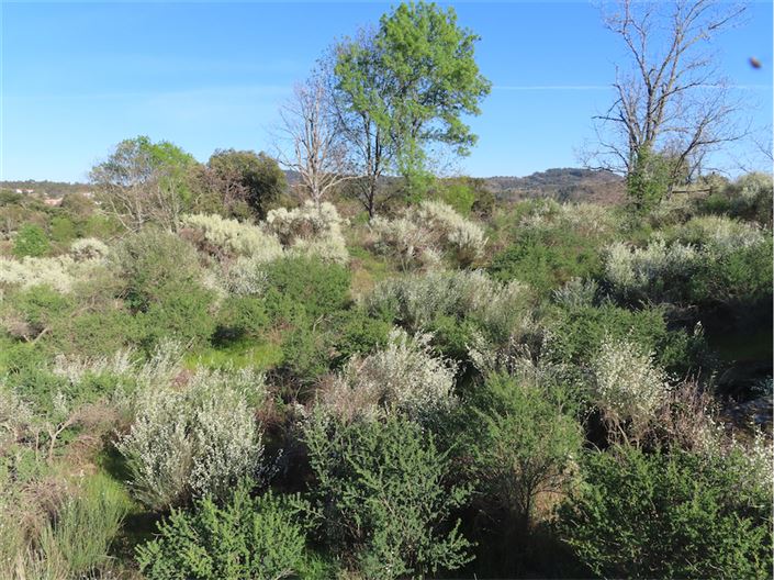 Image No.12-Property for sale