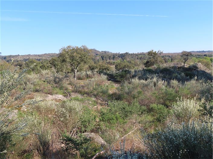 Image No.8-Property for sale