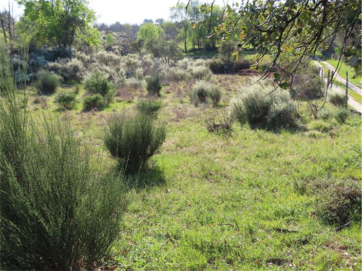 Image No.10-Property for sale