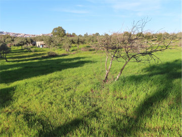 1 - Castelo Branco, Propriété