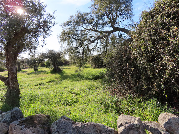 Image No.22-Property for sale