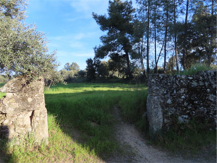 Image No.23-Property for sale