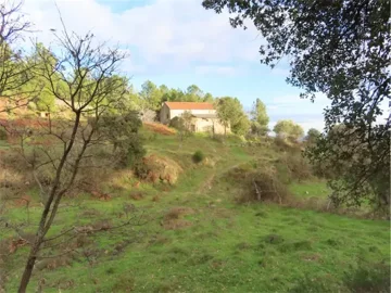 1 - Castelo Branco, Property