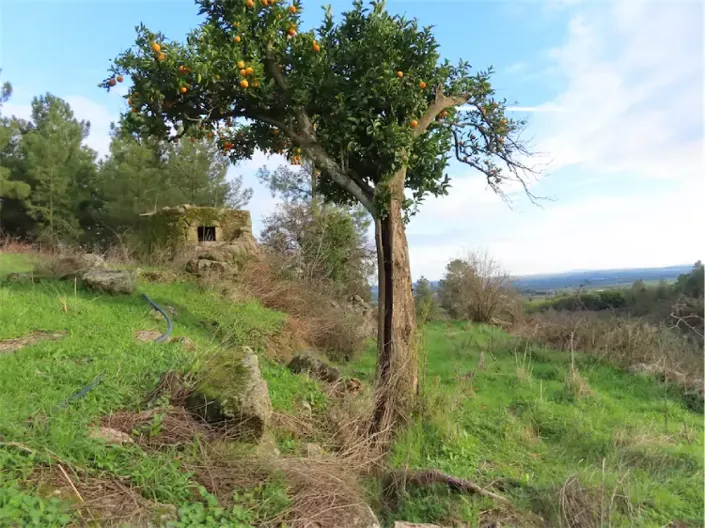 Image No.21-Property for sale