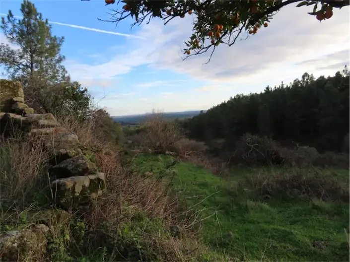 Image No.22-Property for sale