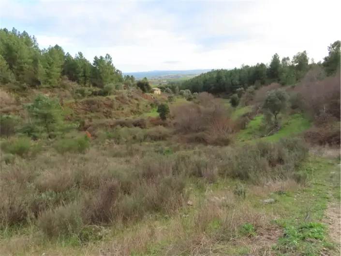 Image No.29-Property for sale