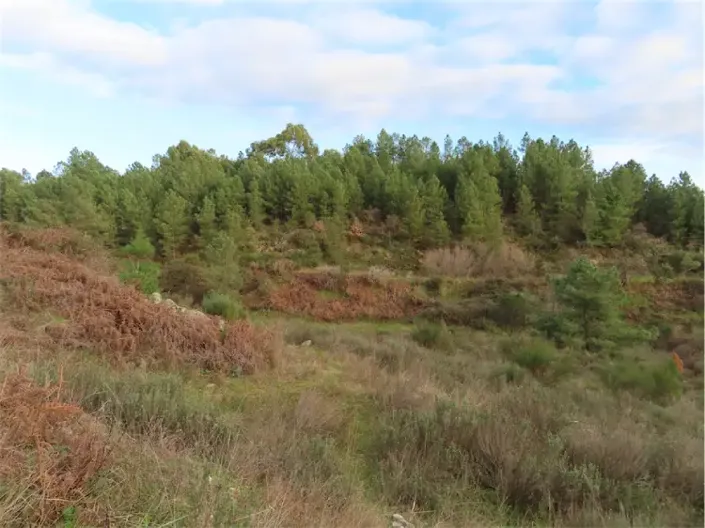 Image No.30-Property for sale