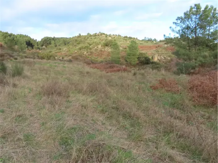 Image No.31-Property for sale