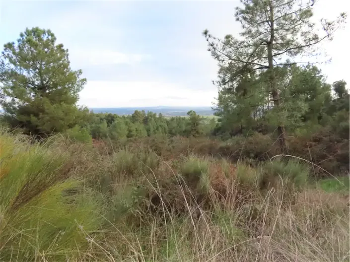 Image No.34-Property for sale