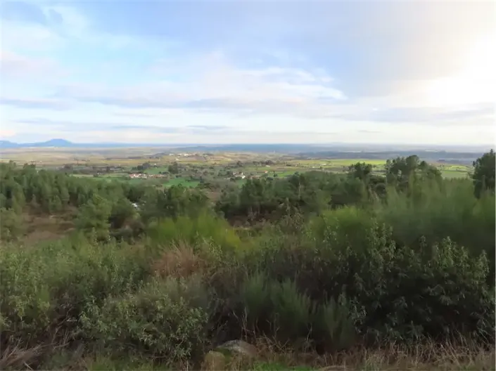 Image No.35-Property for sale