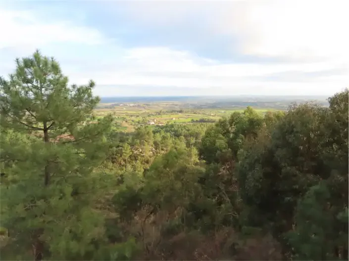 Image No.37-Property for sale