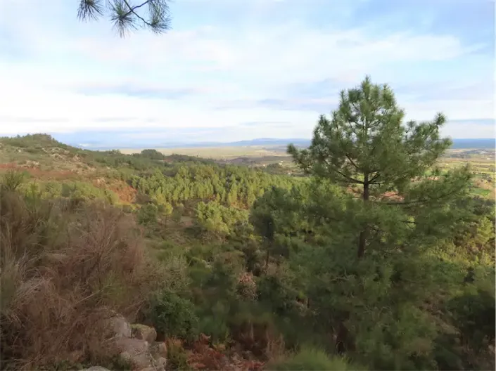 Image No.38-Property for sale