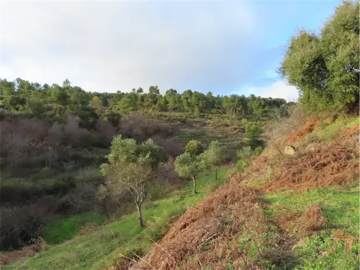 Image No.6-Property for sale