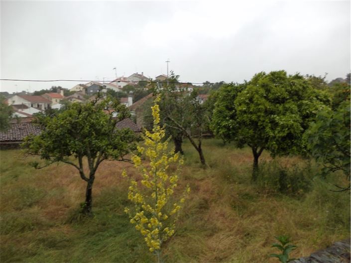 Image No.27-Maison de village de 3 chambres à vendre à Castelo Branco