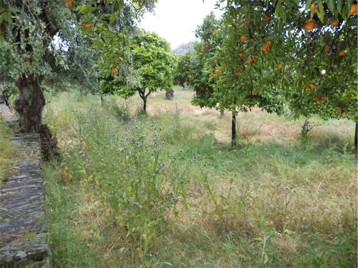 Image No.31-Maison de village de 3 chambres à vendre à Castelo Branco
