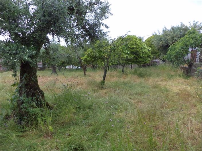 Image No.32-Maison de village de 3 chambres à vendre à Castelo Branco