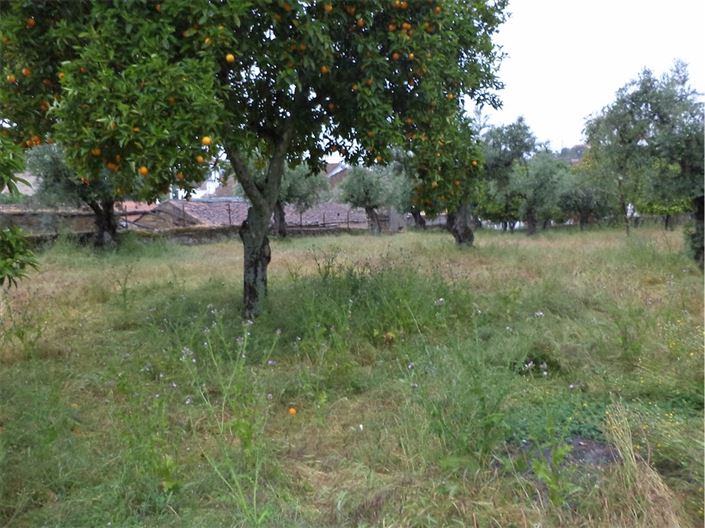 Image No.33-Maison de village de 3 chambres à vendre à Castelo Branco