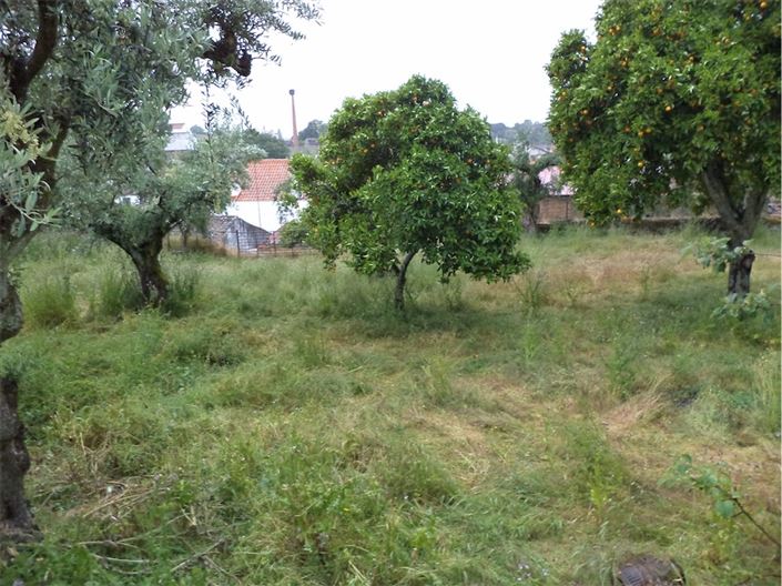 Image No.34-Maison de village de 3 chambres à vendre à Castelo Branco