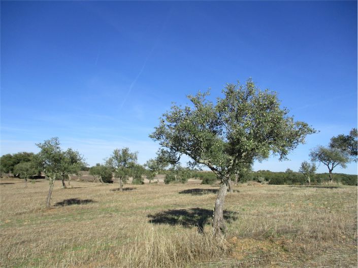 Image No.11-Property for sale