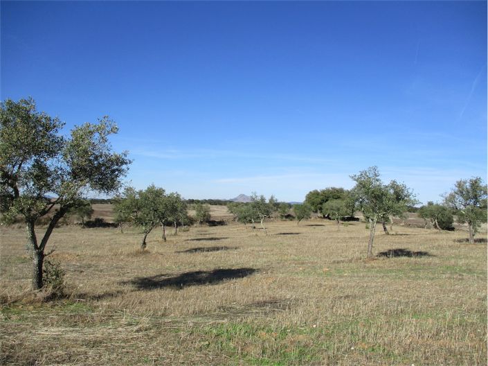 Image No.12-Property for sale