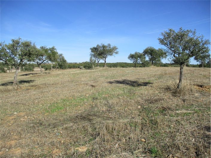 Image No.14-Property for sale