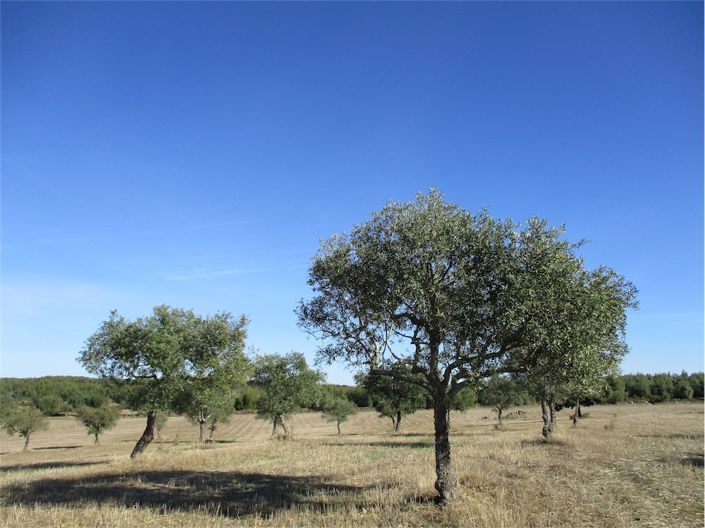 Image No.15-Property for sale