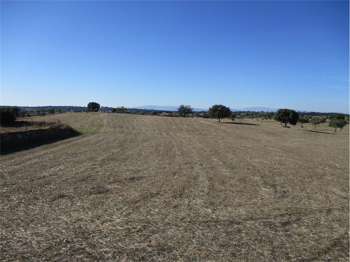 Image No.3-Property for sale