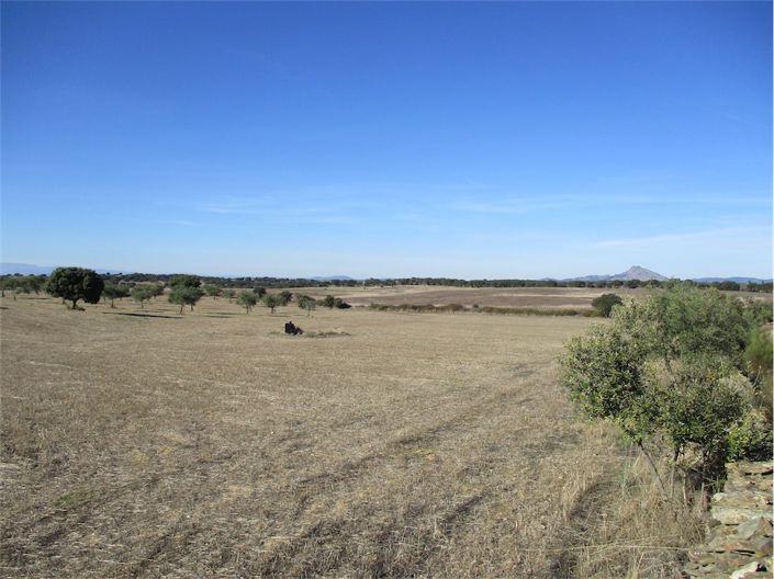 Image No.4-Property for sale