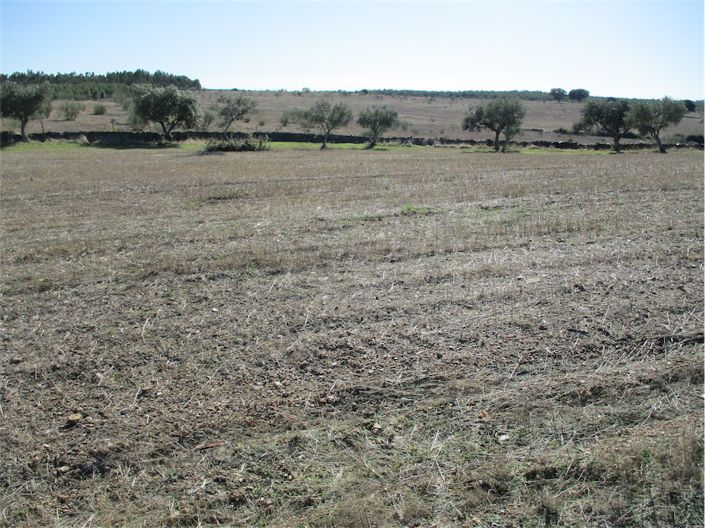 Image No.5-Property for sale