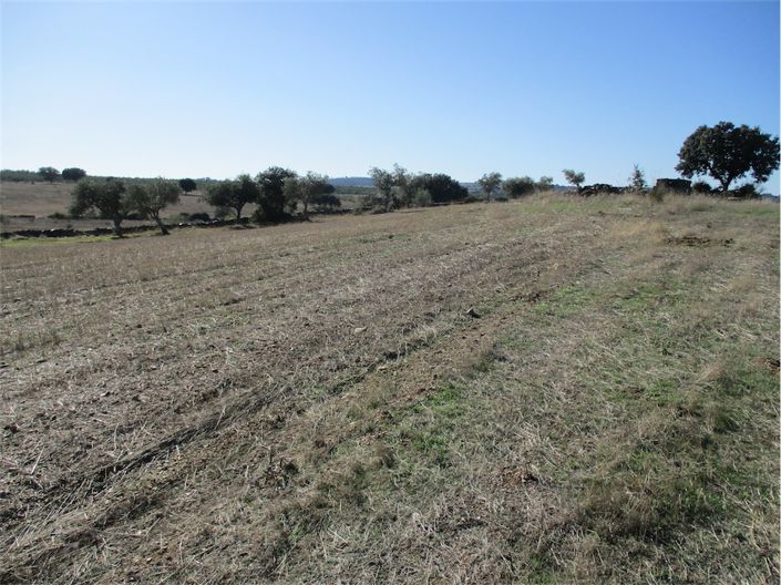 Image No.6-Property for sale