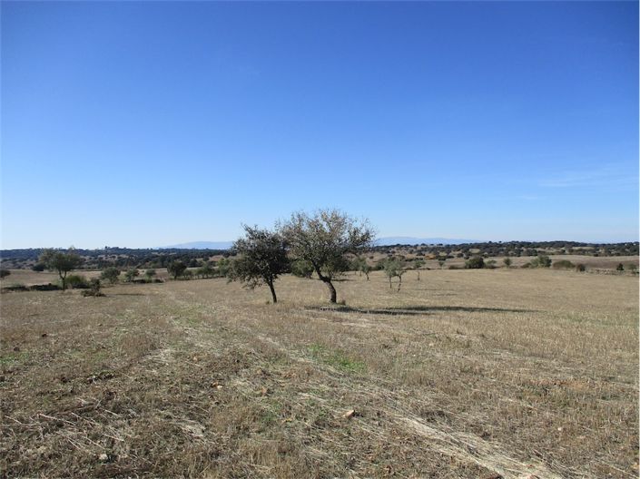 Image No.8-Property for sale