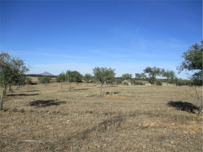 Image No.10-Property for sale