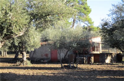 1 - Castelo Branco, Property