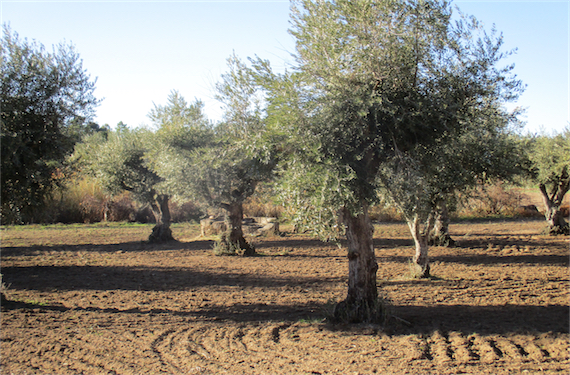 Image No.19-Property for sale