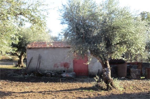 Image No.2-Property for sale