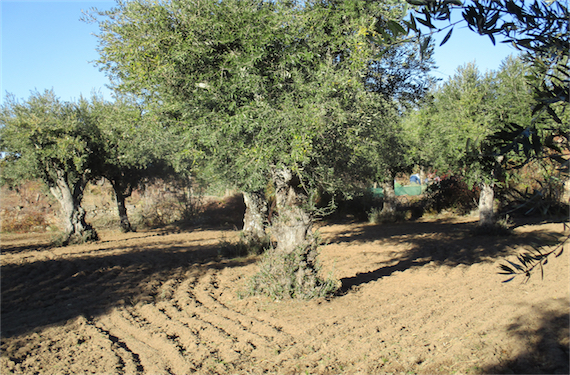 Image No.22-Property for sale