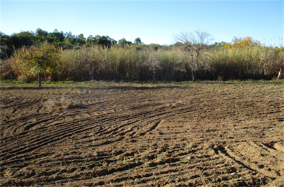 Image No.25-Property for sale