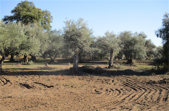 Image No.31-Property for sale