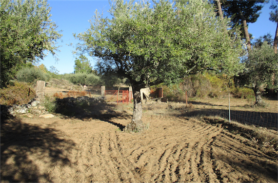 Image No.6-Property for sale