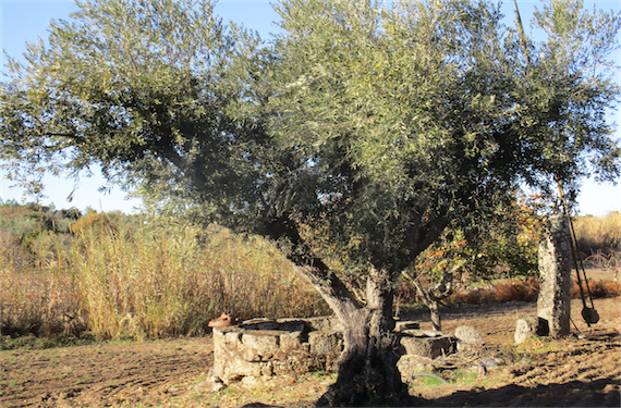 Image No.7-Property for sale