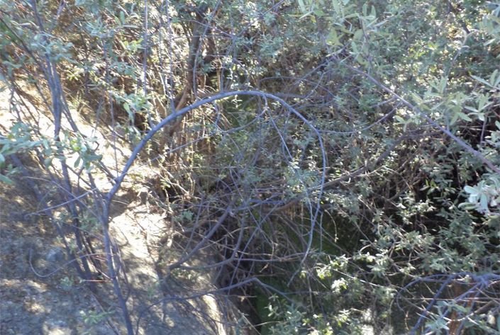 Image No.11-Property for sale