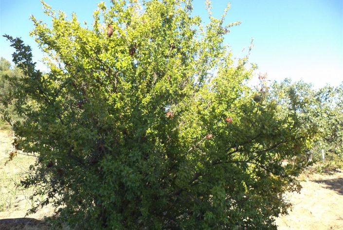 Image No.12-Property for sale